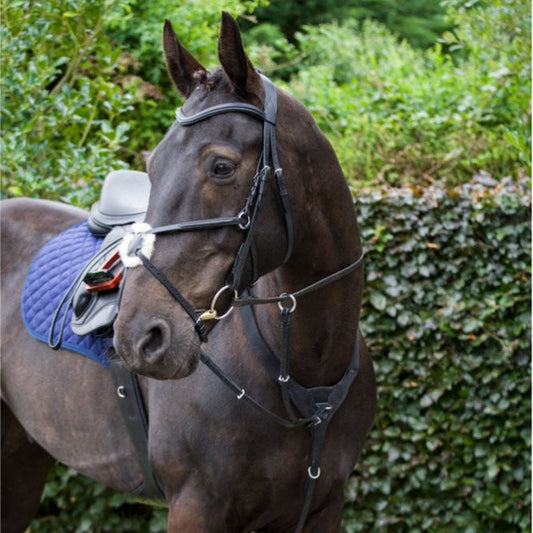 Performance Elasticated Breastplate