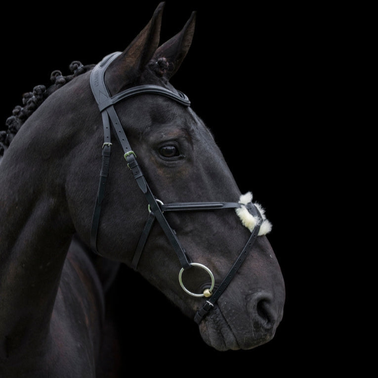 Anatomic Grackle Bridle