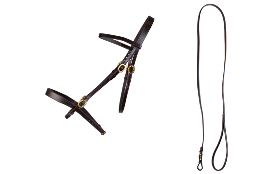 In Hand Bridle and Lead