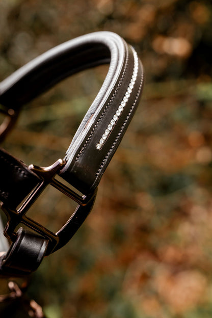 Competition Leather Headcollar & Rope