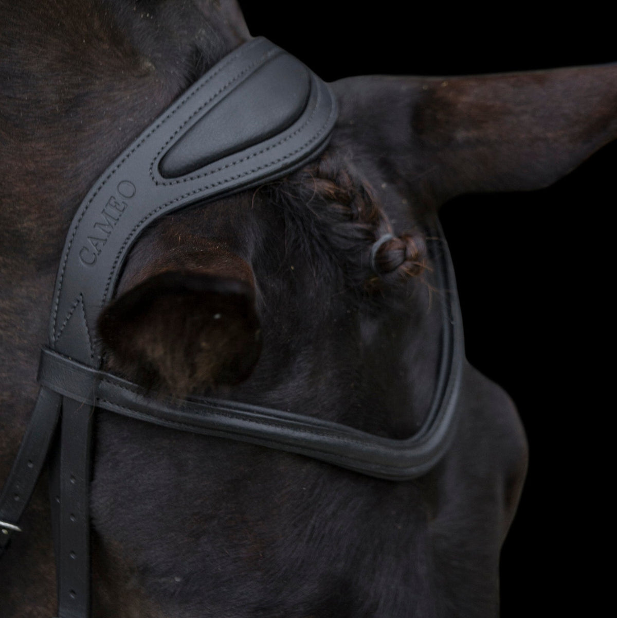 Anatomic Comfort Bridle