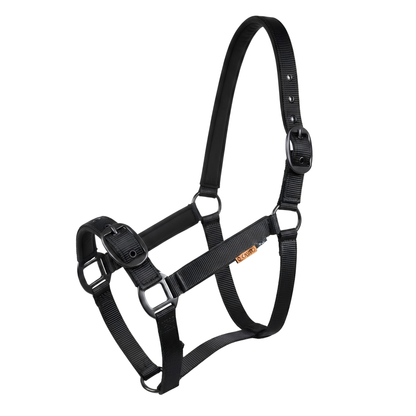 CAMEO Suede Padded Headcollar