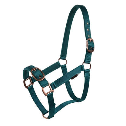 CAMEO Suede Padded Headcollar