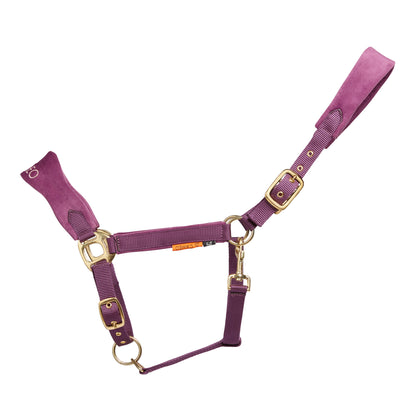 CAMEO Suede Elite Headcollar & Rope set