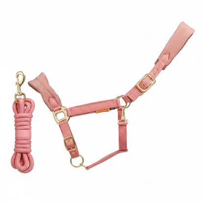 CAMEO Suede Elite Headcollar & Rope set