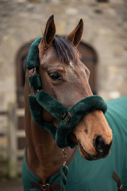 CAMEO Deluxe Headcollar