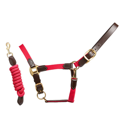 Performance Leather Headcollar & Lead