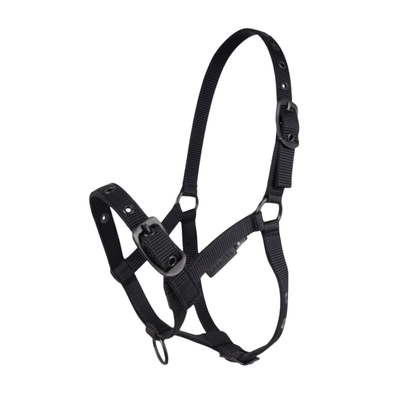CAMEO Foal Headcollar