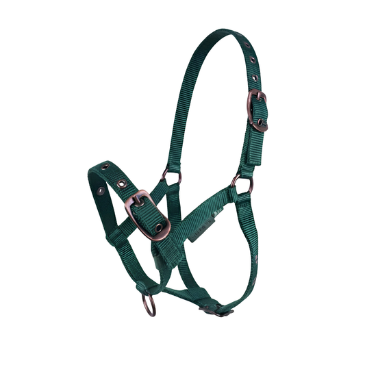 CAMEO Foal Headcollar