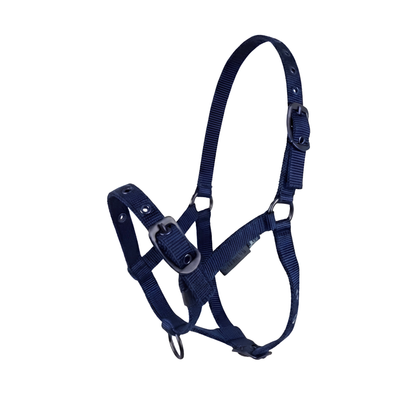 CAMEO Foal Headcollar