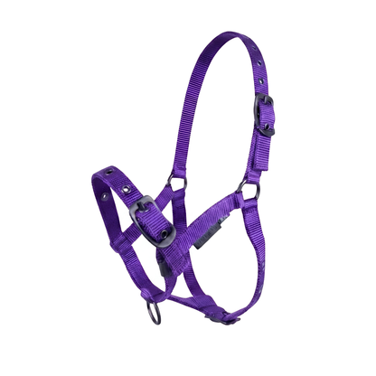 CAMEO Foal Headcollar