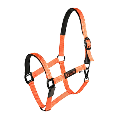 CAMEO Sentinel FieldSafe Headcollar