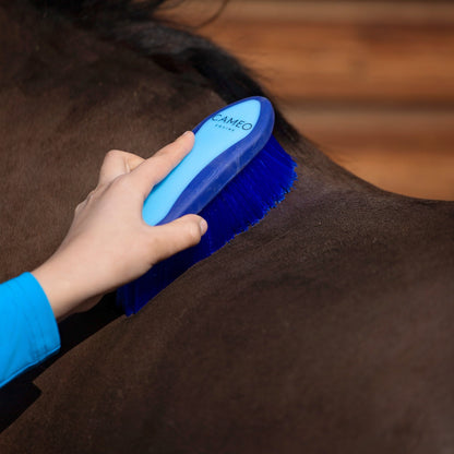 Dandy Brush