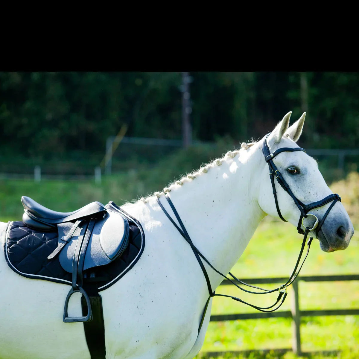 Grey horse tacked up under saddle wearing a black EcoRider anatomical leather bridle and matching elasticated martingale in an outdoor arena.