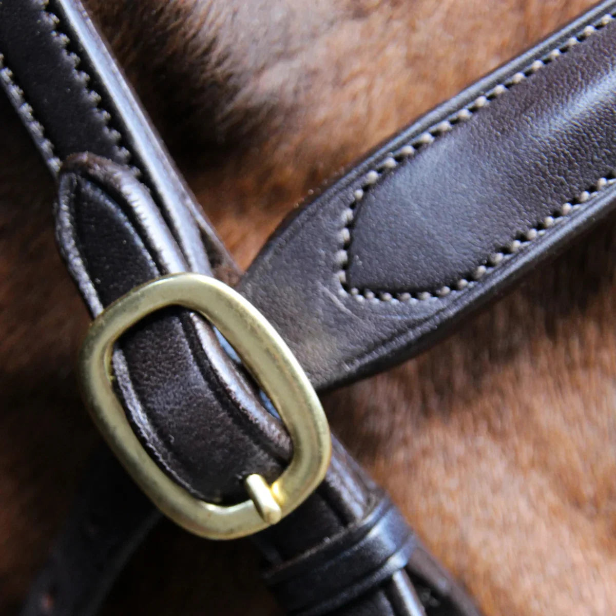 Close-up of the solid brass buckle and fine stitching on a brown EcoRider Classic Inhand Leather Bridle.