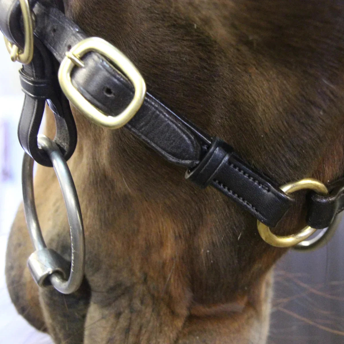 Close-up of the solid brass buckles and loops on a brown EcoRider Classic Inhand Bridle, showing the bit ring attachment.