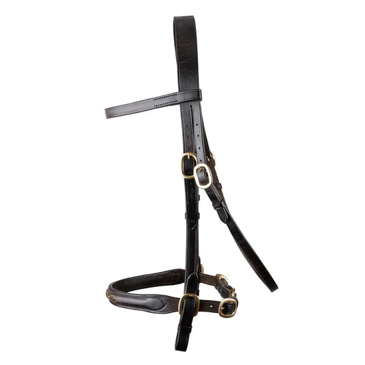 Brown EcoRider Classic Inhand Leather Bridle with solid brass fittings, a flat browband, and a padded noseband.