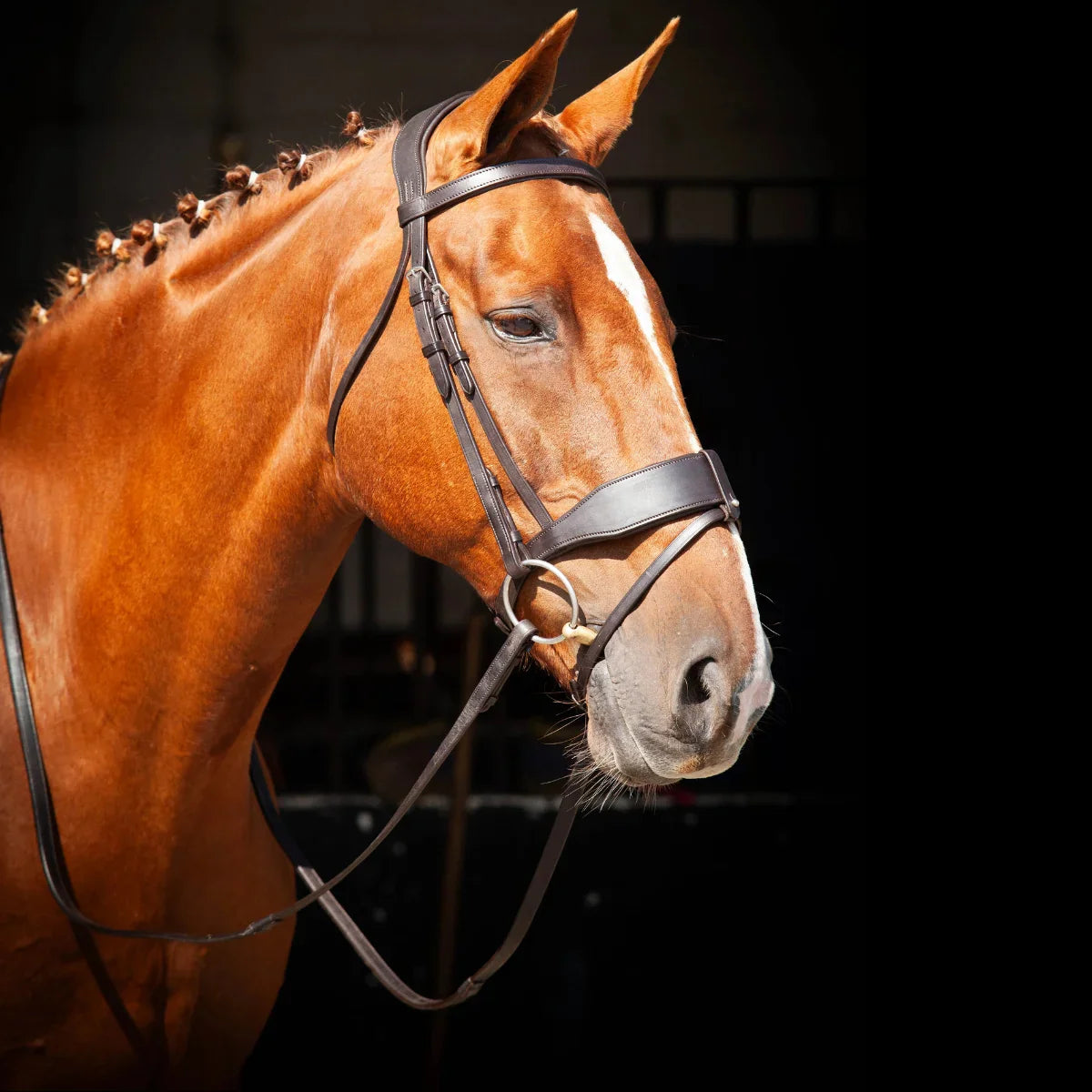 Portrait of a chestnut horse with a braided mane wearing a black EcoRider anatomical leather bridle against a dark background.