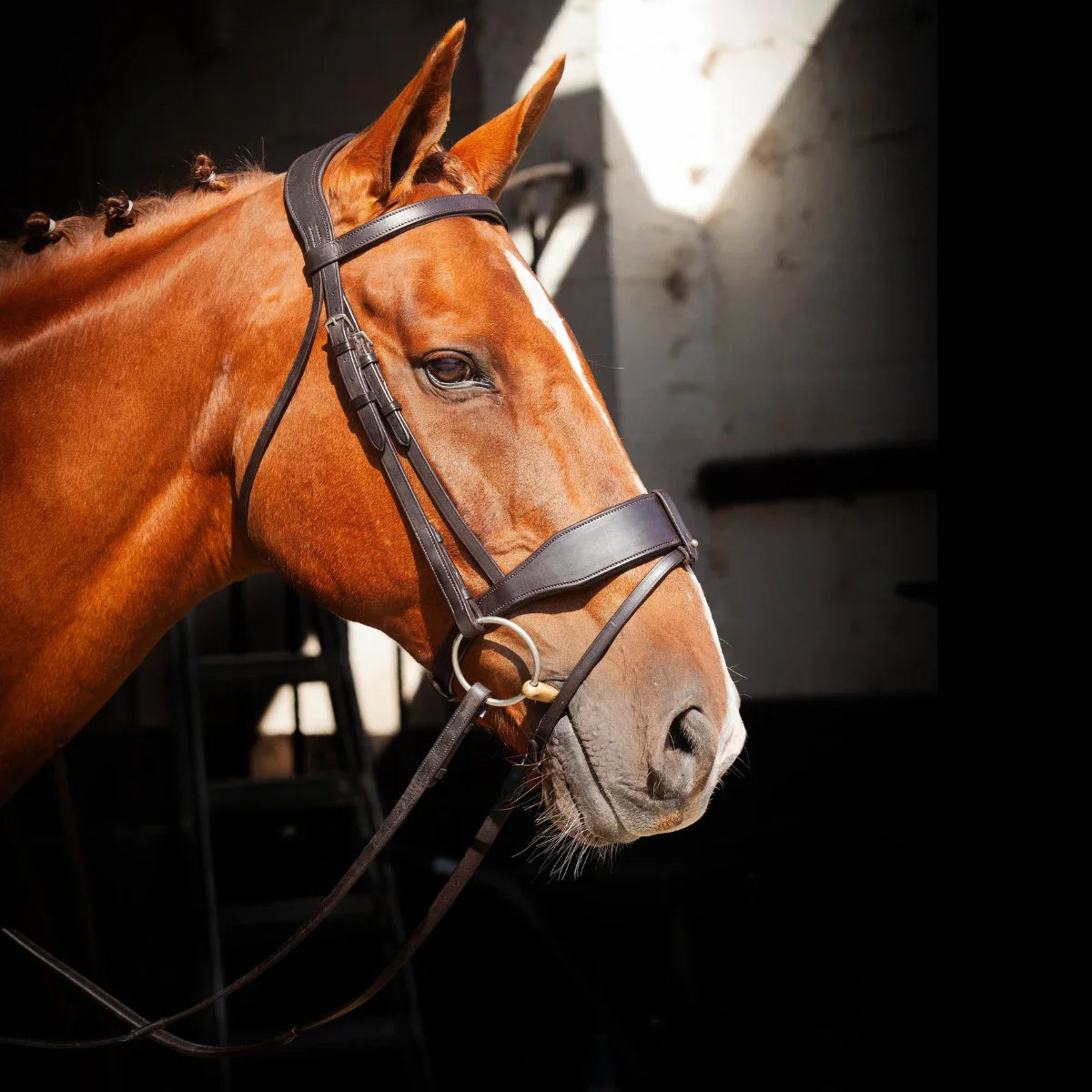 Side profile of a chestnut horse with a braided mane wearing a black EcoRider anatomical leather bridle against a dark stable background.