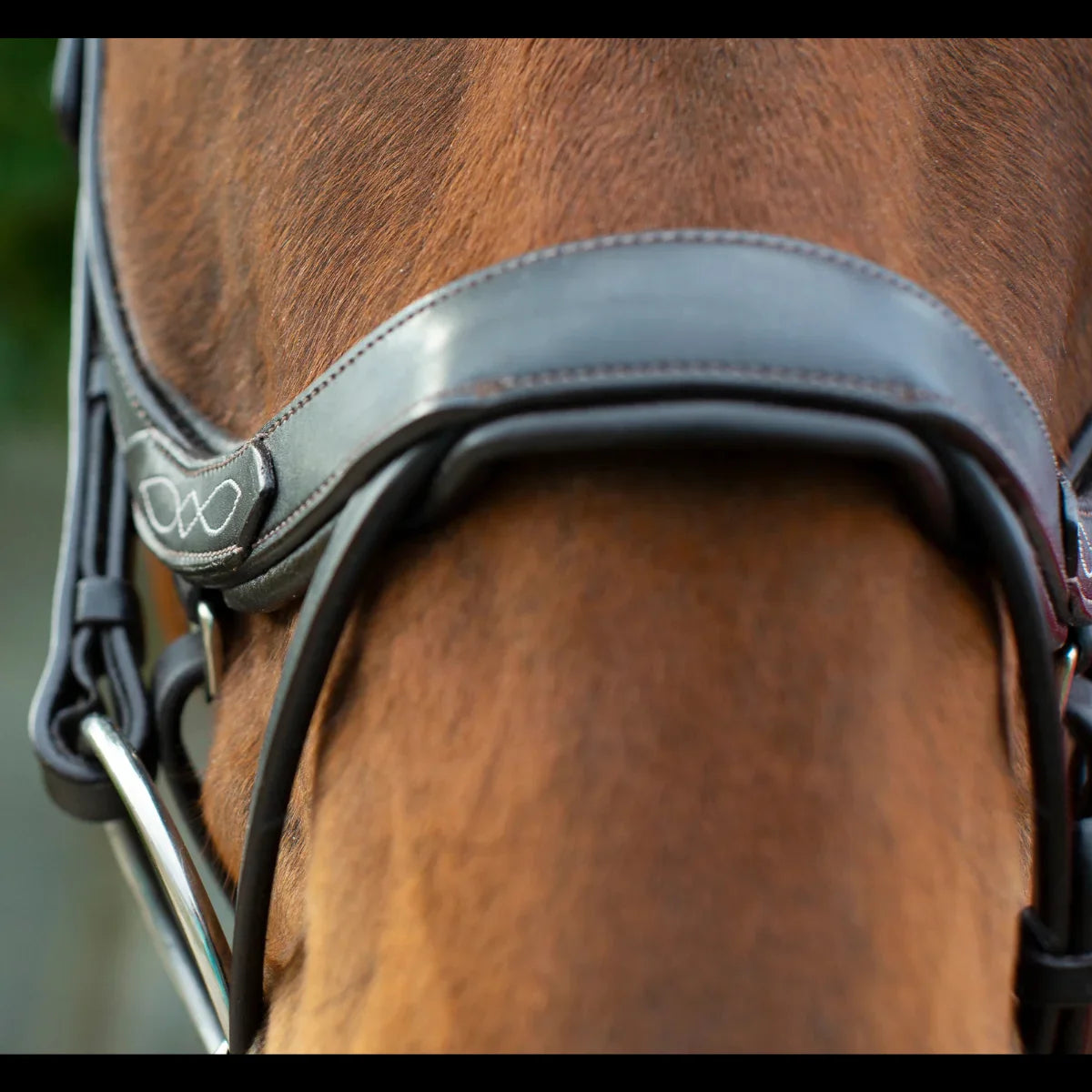Close-up of the white decorative fancy stitching on a black EcoRider anatomic leather noseband, showing the padded comfort lining.
