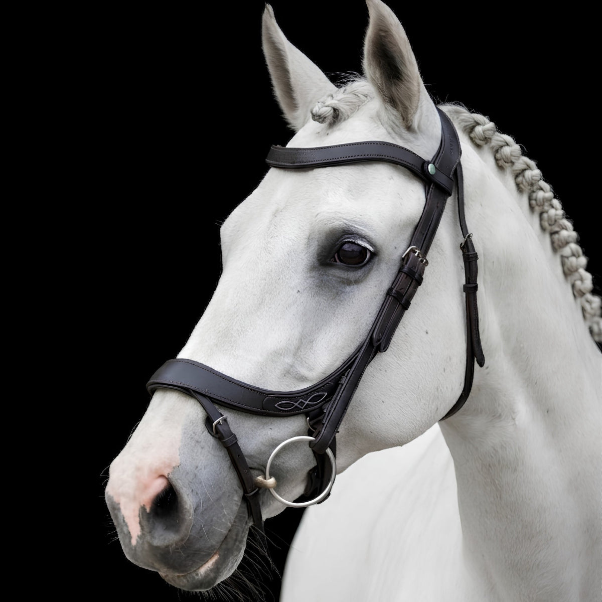 Side profile of a Grey horse with an EcoRider anatomic leather bridle featuring decorative white stitching on the noseband.