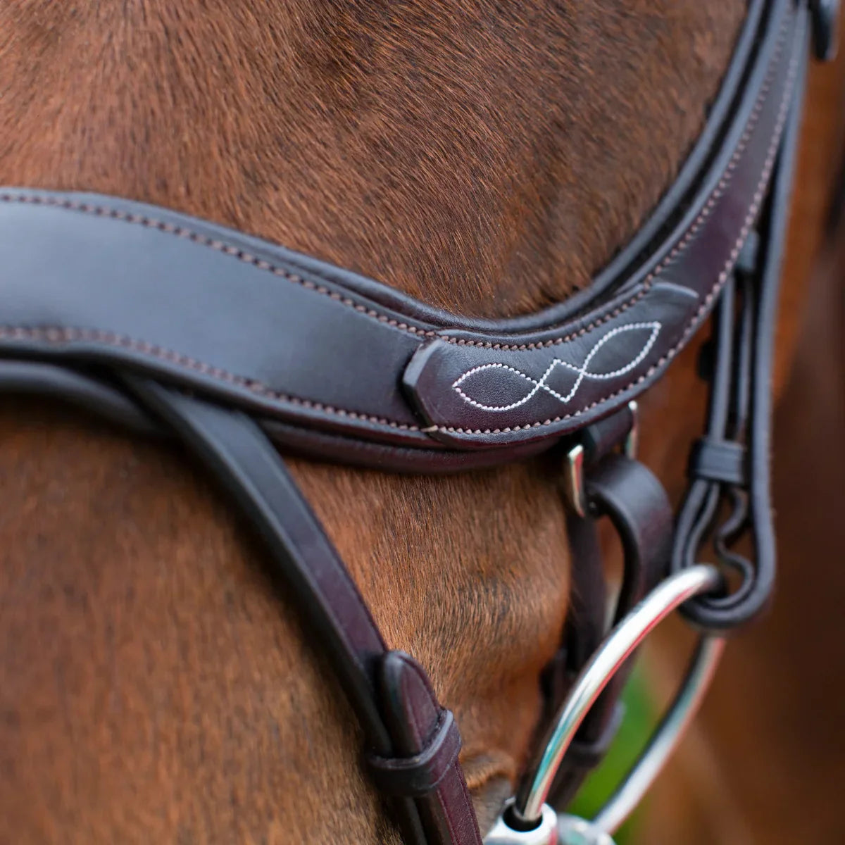Close-up of the white decorative fancy stitching on a brown EcoRider anatomic leather noseband, showing the padded comfort lining.