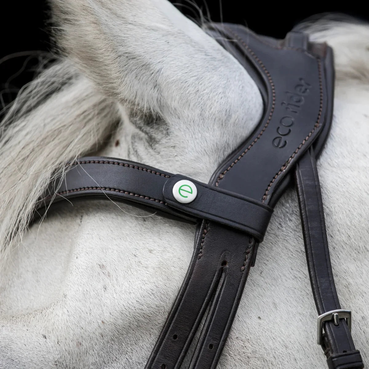 Close-up of a brown EcoRider Freedom headpiece showing the debossed brand name and e clasp browband on a grey horse, highlighting ear clearance.