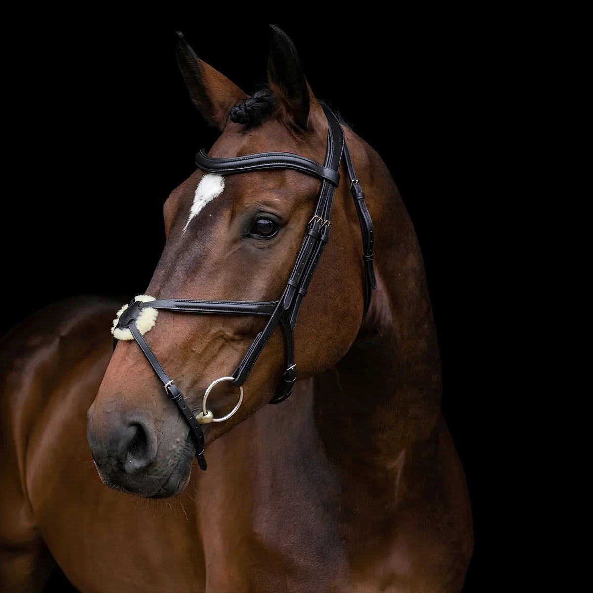Brown horse wearing a EcoRider Freedom Grackle Leather bridle on a black background