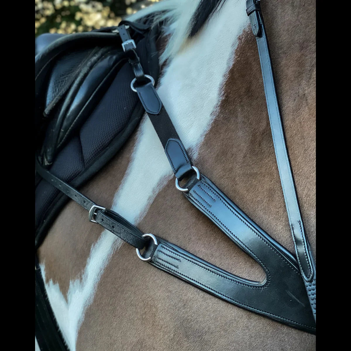 Close-up of a pinto horse wearing a black EcoRider elasticated breastplate and running martingale under saddle.