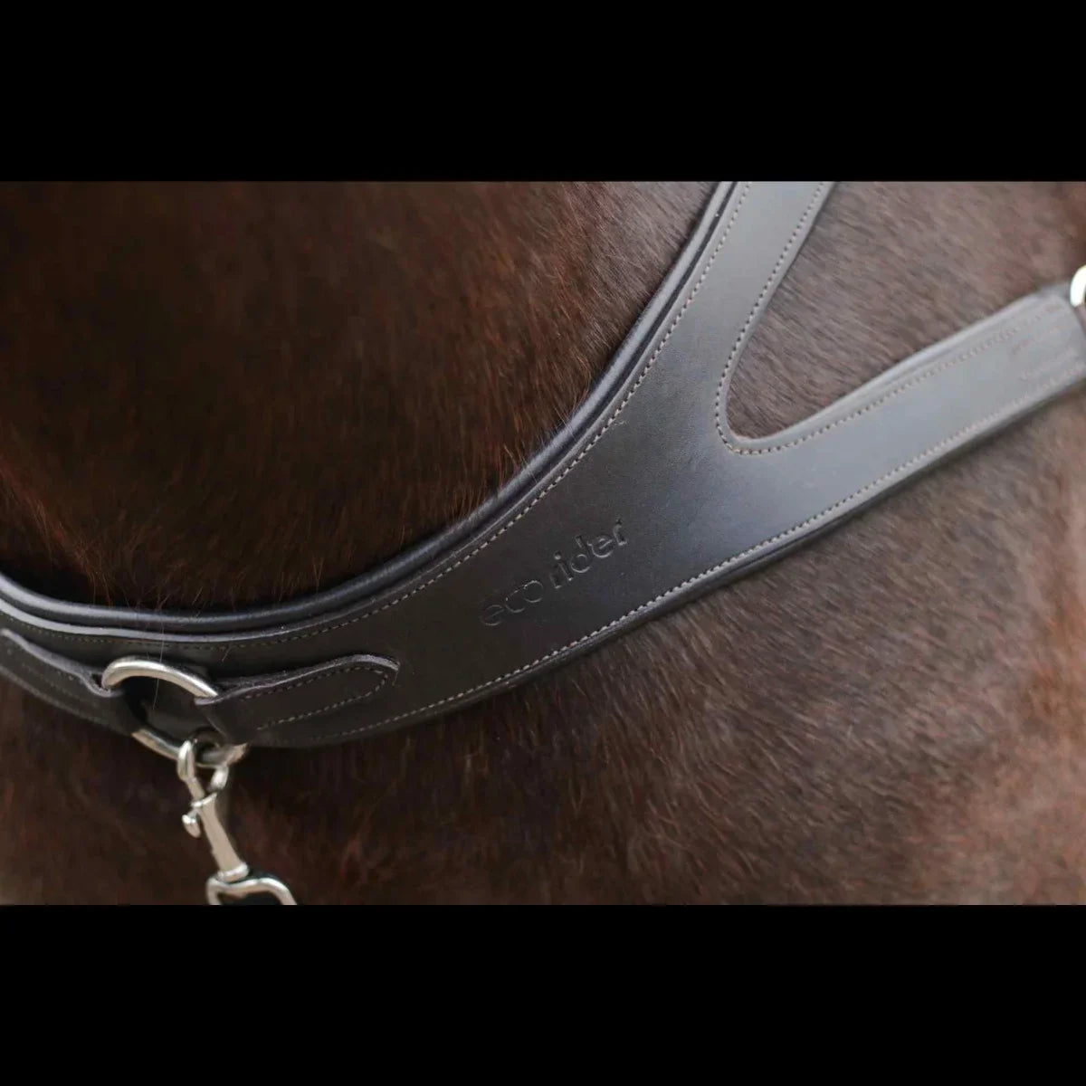 Close-up of the debossed EcoRider logo on the padded chest plate of a black leather breastplate, resting on a horse's chest.