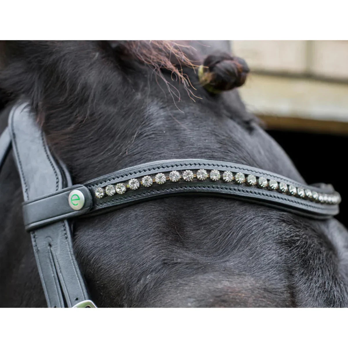 Close-up of a black horse wearing an EcoRider black leather bridle with a curved silver crystal browband.