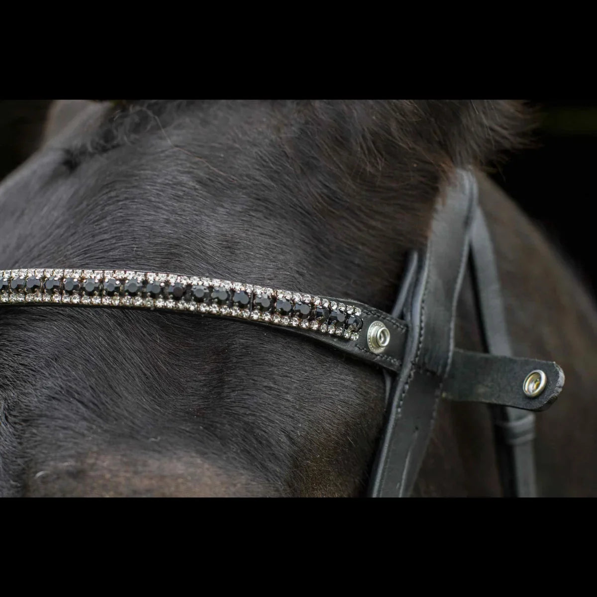 Close-up of the black EcoRider Nouveau Crystal Browband on a dark horse, featuring the open e-clasp quick-release snap popper.