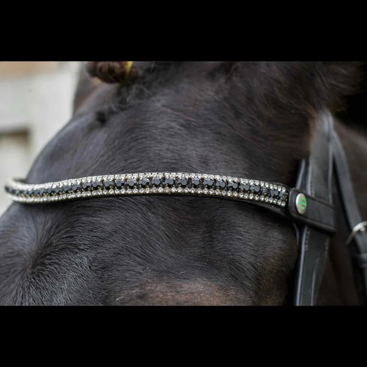 Close-up of the black EcoRider Nouveau Crystal Browband on a dark horse, featuring the closed e-clasp quick-release snap popper.