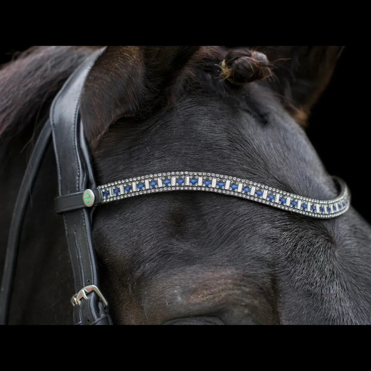 Close-up of the black EcoRider Freedom Sapphire Browband on a dark horse, featuring the closed e-clasp quick-release snap popper.
