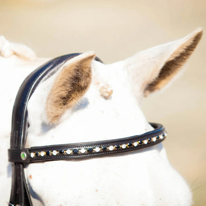 Close-up of a white horse wearing an EcoRider black leather bridle with a curved crystal browband featuring alternating clear and black stones.
