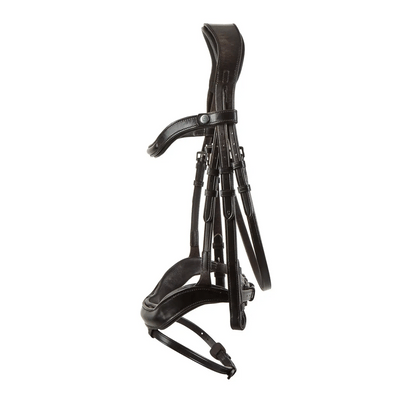Brown EcoRider anatomic leather bridle featuring an ergonomic padded headpiece, curved browband, and padded noseband with removable flash.
