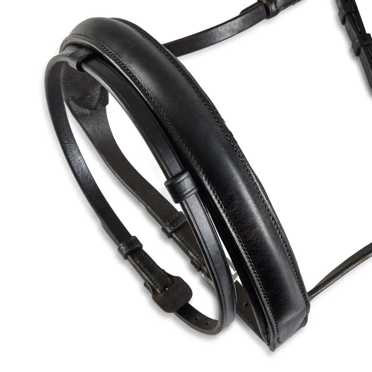 Black EcoRider Perfect Fit Show Comfort Cavesson Noseband separate, featuring thick protective padding and adjustable straps.