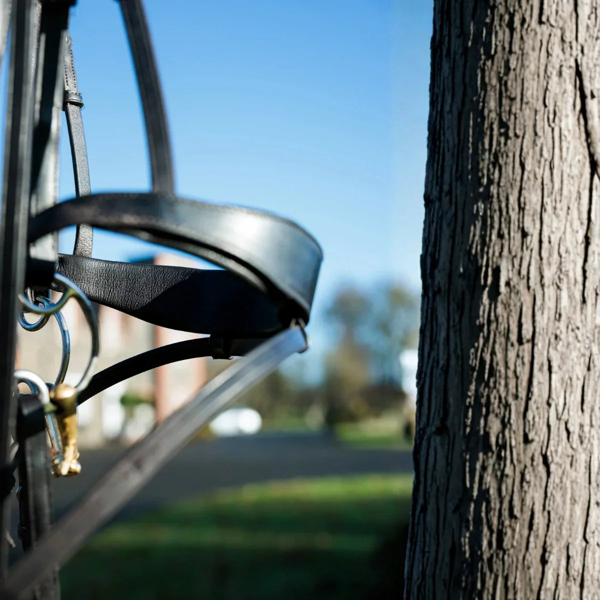 Detailed view of an EcoRider anatomical leather bridle hanging by a tree, showcasing the padded noseband and snaffle bit.