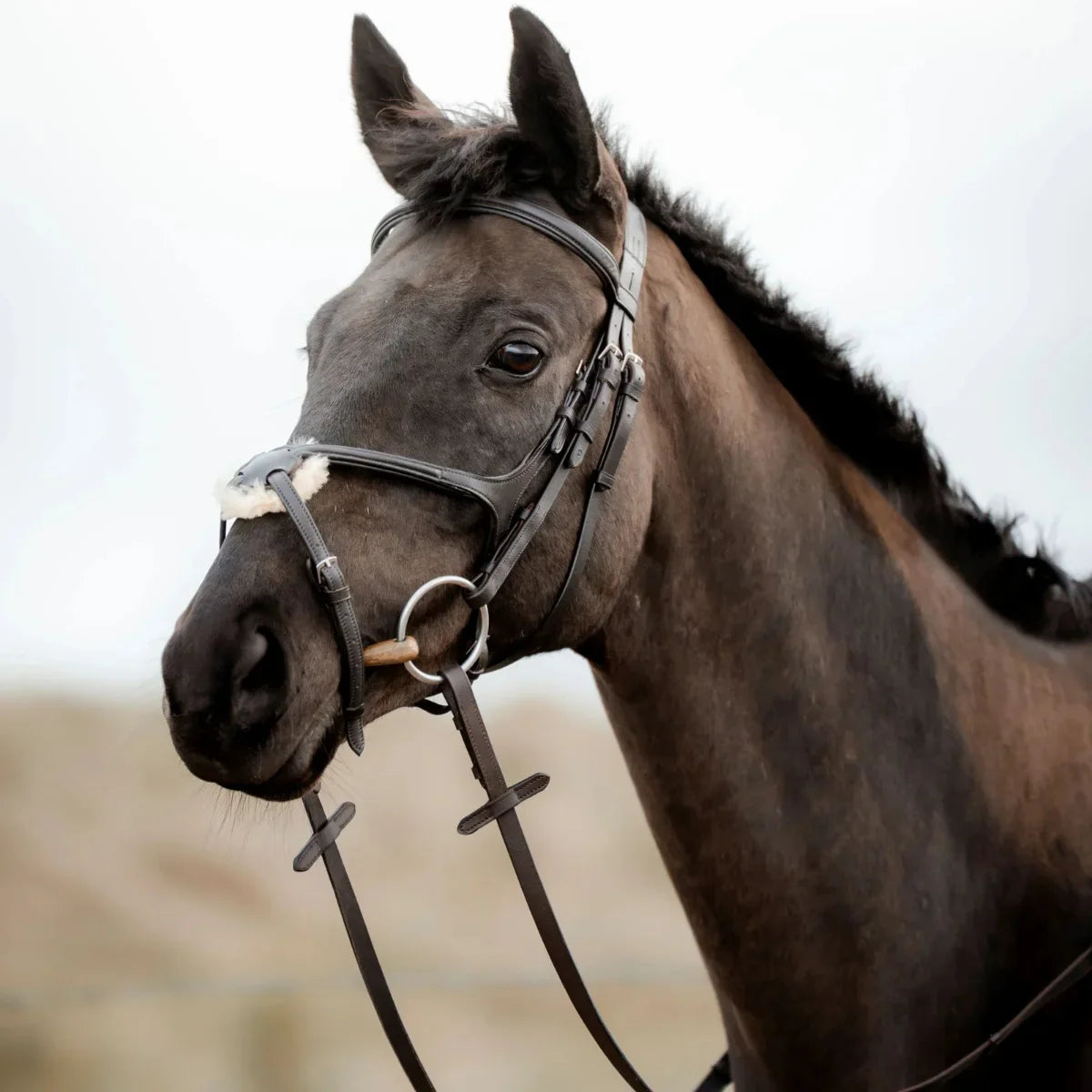 Side profile of a black horse wearing a black EcoRider grackle leather bridle with a sheepskin-padded noseband.