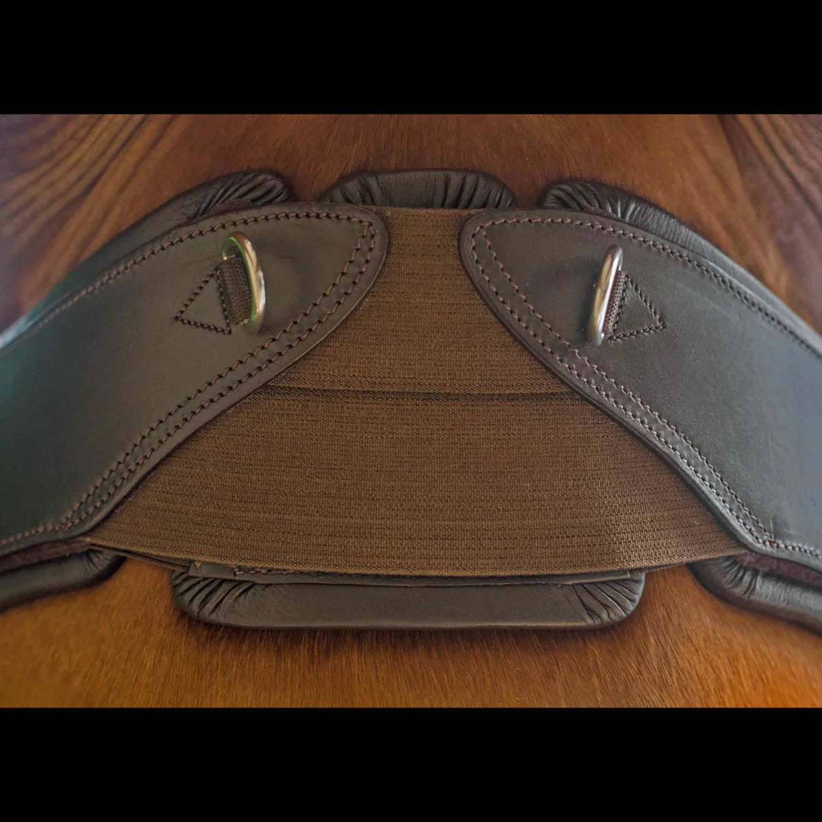 Close-up of the sternum elasticated stretch panel and D-rings on the EcoRider Ultra Comfort Anatomic Girth, fitted on a horse.