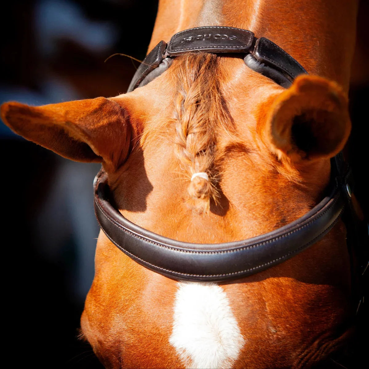 Close-up of a chestnut horse's poll showing the black EcoRider anatomic headpiece with an integrated raised mane channel and debossed logo.