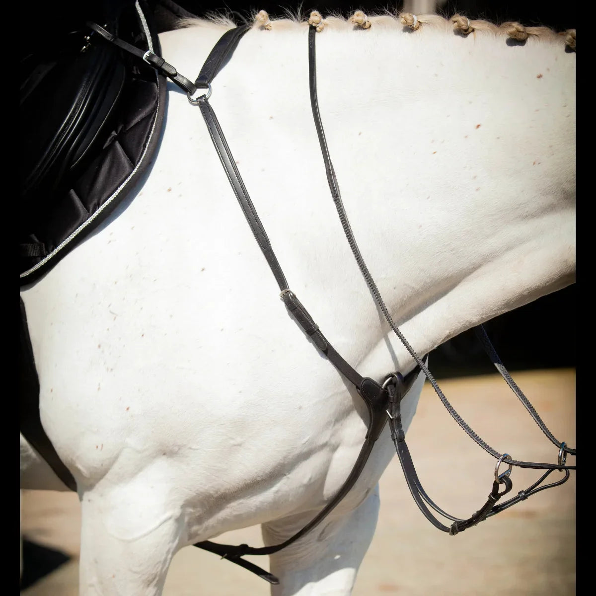 Close-up of a grey horse tacked up under saddle wearing a black EcoRider anatomical leather breastplate and running martingale.