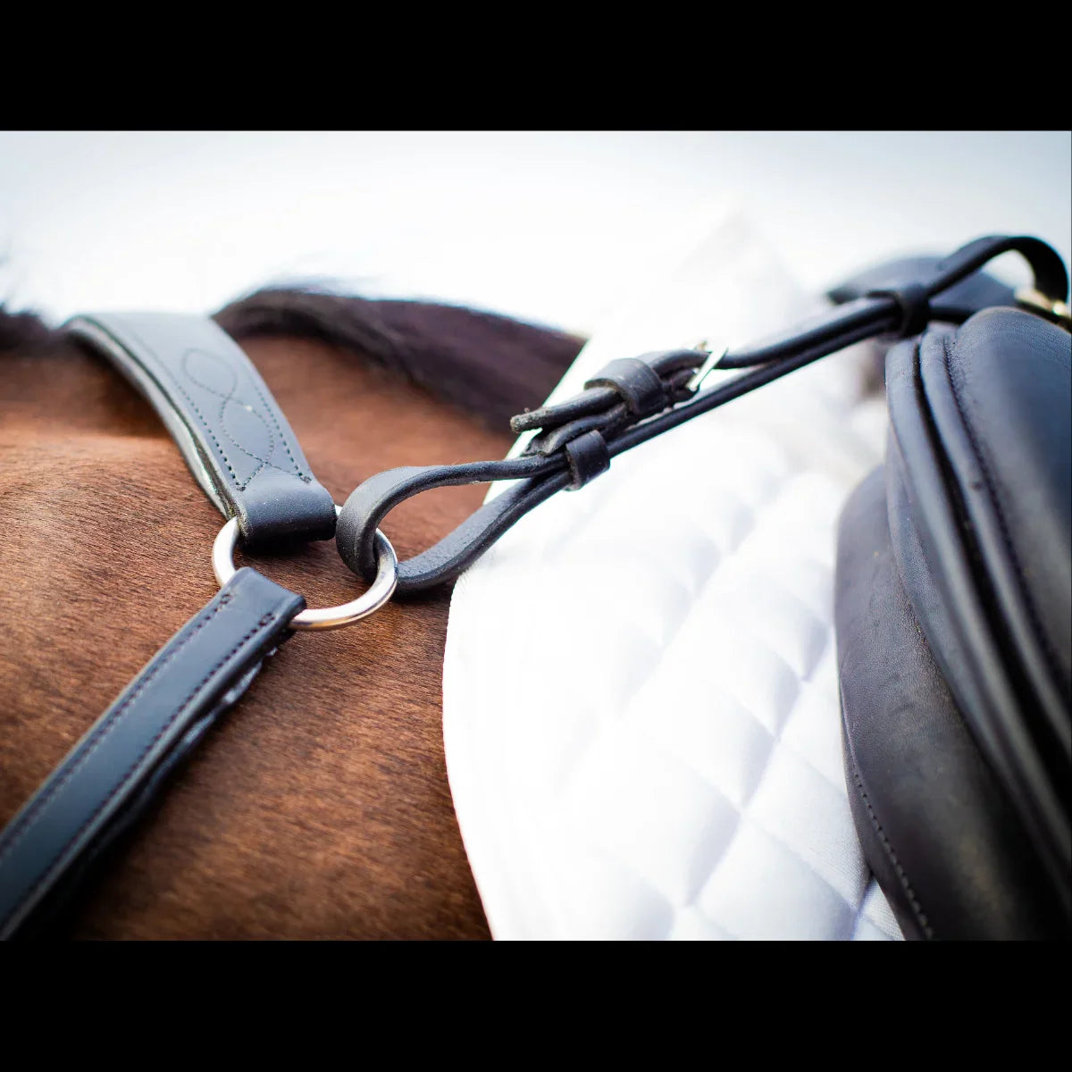 Close-up of the black EcoRider leather breastplate attached to the saddle pommel, displaying fancy stitching and stainless steel rings.