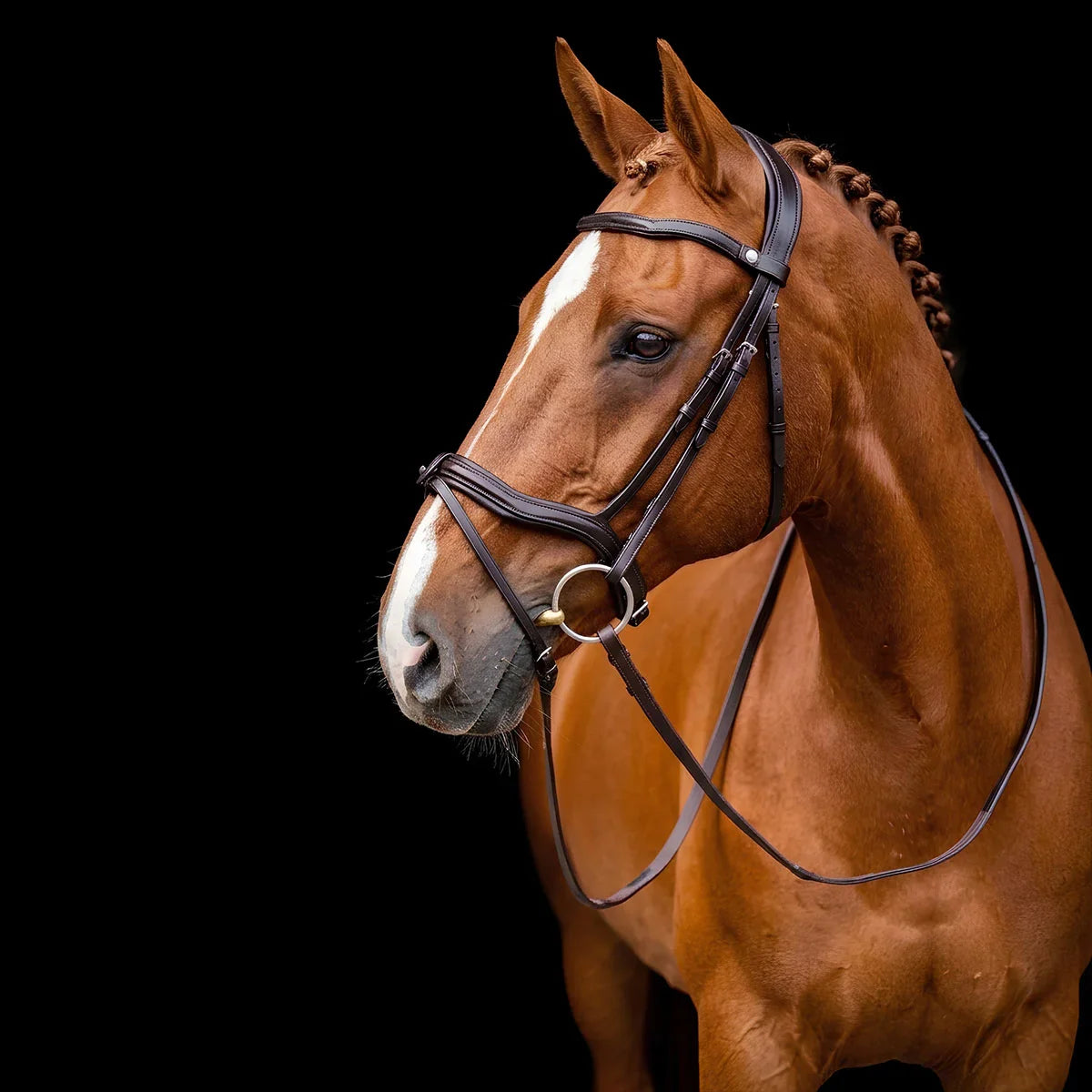 Horse wearing a Black EcoRider Ultra Comfort Kilkenny leather bridle