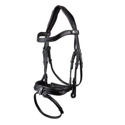 Black EcoRider SeamFree Anatomic Leather Bridle featuring a padded headpiece, curved browband, and padded noseband with a removable flash.