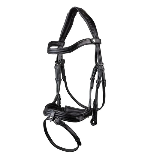 Black EcoRider SeamFree Anatomic Leather Bridle featuring a padded headpiece, curved browband, and padded noseband with a removable flash.