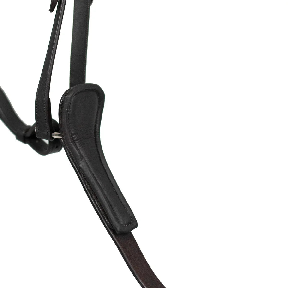 Close-up of the padded leather chest plate on the Black EcoRider Ultra Comfort Martingale.