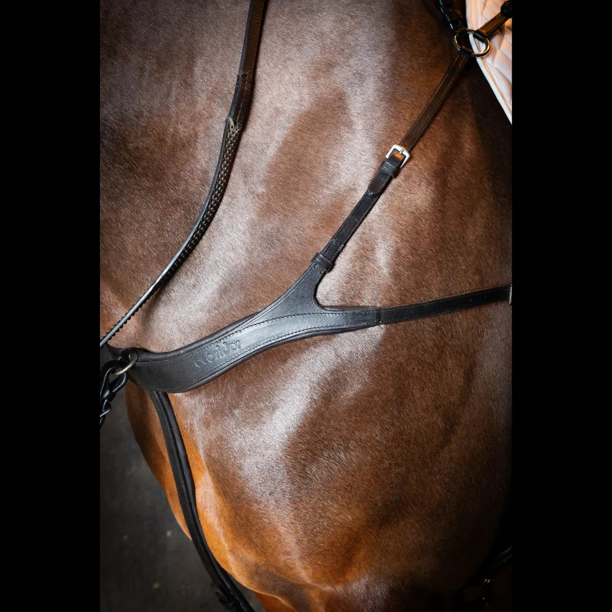 Close-up of a bay horse wearing a black EcoRider anatomical leather breastplate, showcasing the debossed logo and shoulder fit.