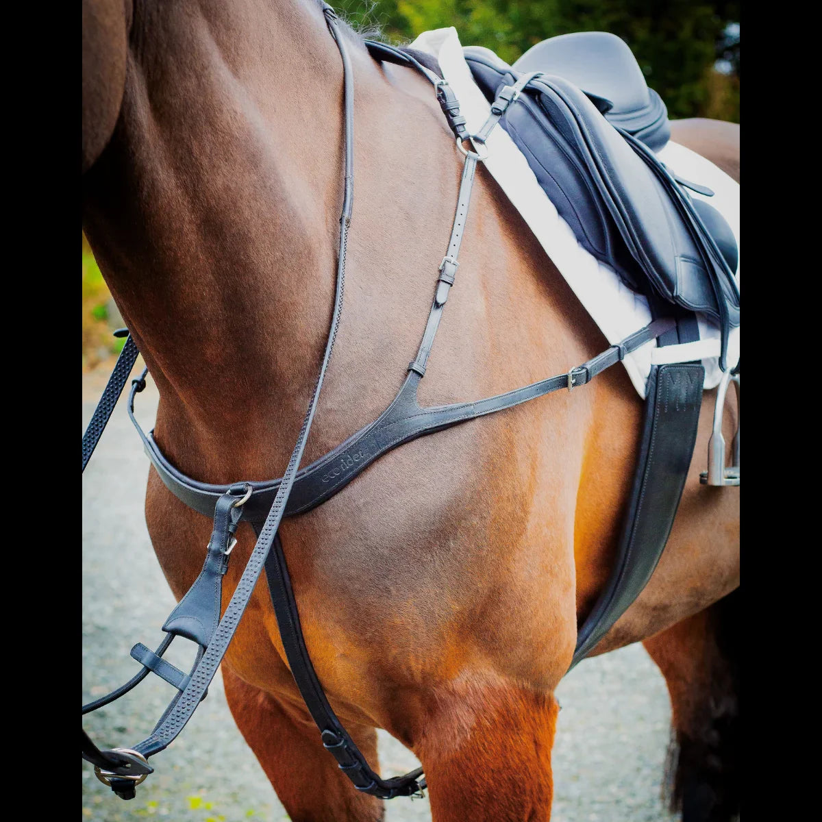 Close-up of a bay horse tacked up under saddle wearing a black EcoRider anatomical breastplate and matching anatomic girth.