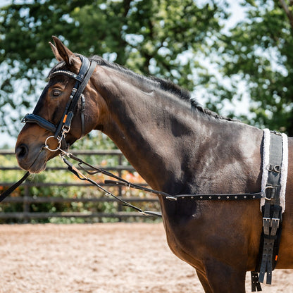 Side Reins